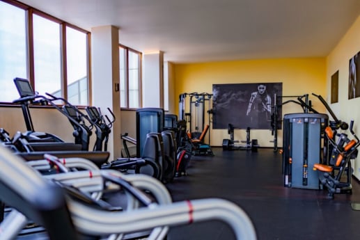 Sandonia accomodation